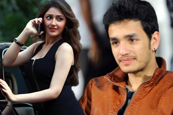 akkineni akhil,vv vinayak,akhil lip lock with sayesha saigal,akhil with sayesha saigal  వావ్..అఖిల్‌ అంత పనిచేశాడా!? 